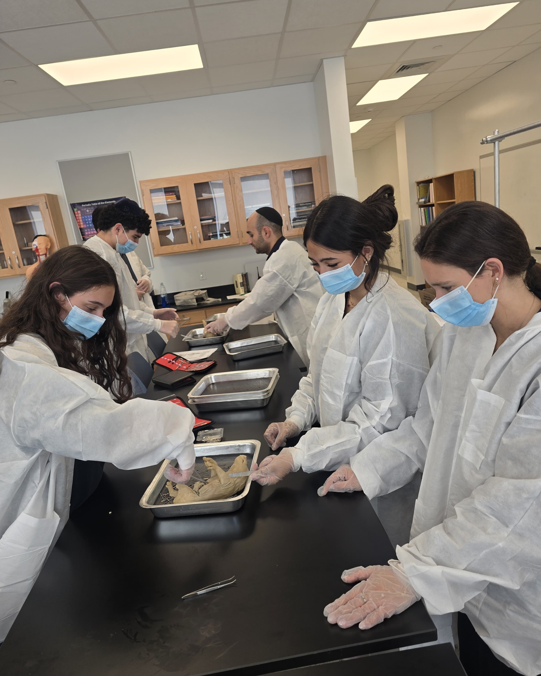 Hands-On Learning in Anatomy & Physiology